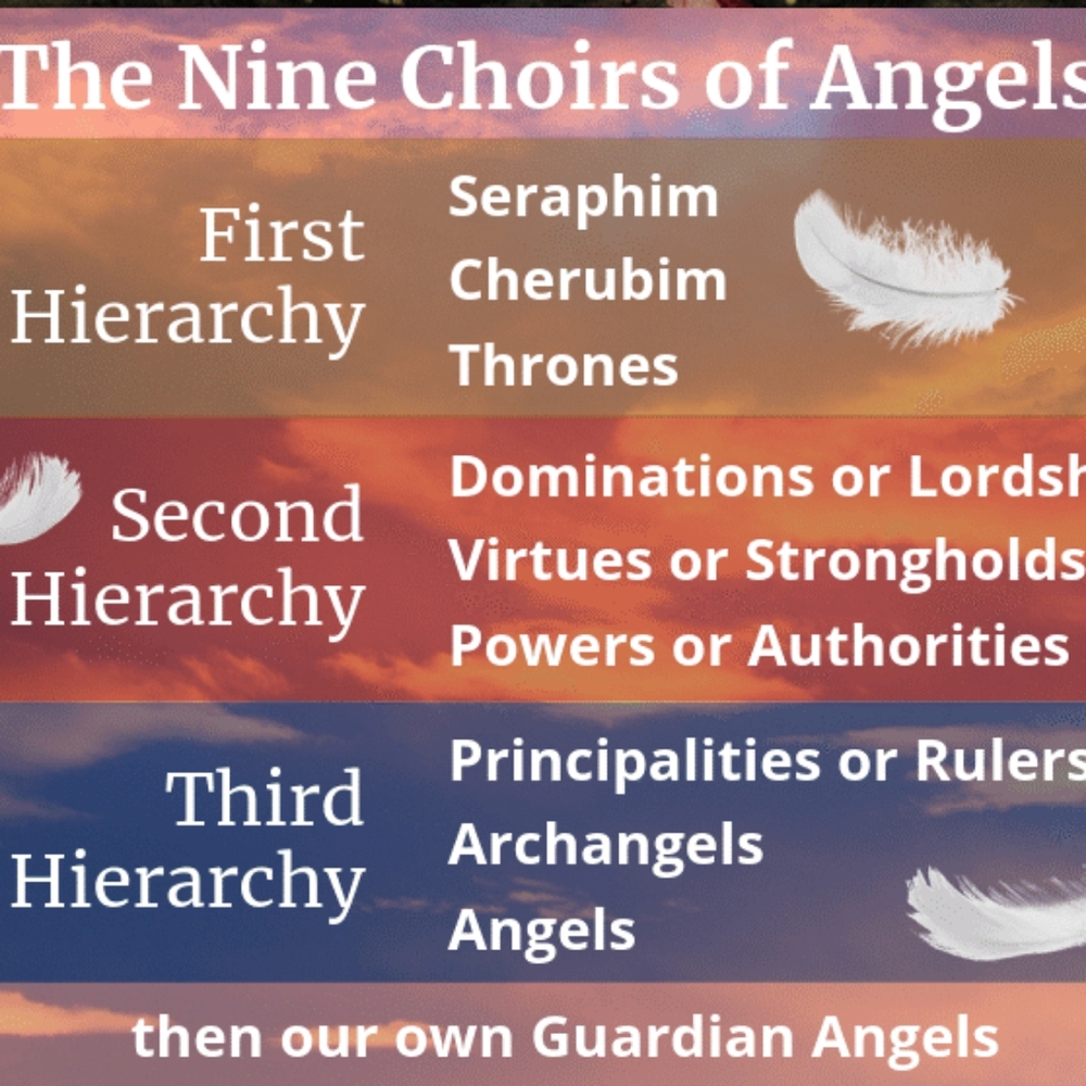 Welcome to my Posh Mark Closet!